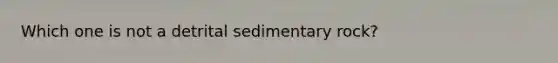 Which one is not a detrital sedimentary rock?