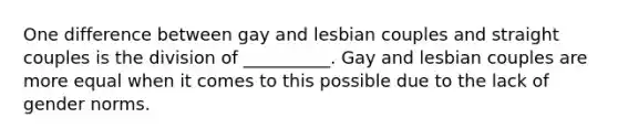 One difference between gay and lesbian couples and straight couples is the division of __________. Gay and lesbian couples are more equal when it comes to this possible due to the lack of gender norms.