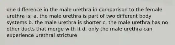 one difference in the male urethra in comparison to the female urethra is; a. the male urethra is part of two different body systems b. the male urethra is shorter c. the male urethra has no other ducts that merge with it d. only the male urethra can experience urethral stricture