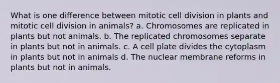 What is one difference between mitotic <a href='https://www.questionai.com/knowledge/kjHVAH8Me4-cell-division' class='anchor-knowledge'>cell division</a> in plants and mitotic cell division in animals? a. Chromosomes are replicated in plants but not animals. b. The replicated chromosomes separate in plants but not in animals. c. A cell plate divides the cytoplasm in plants but not in animals d. The nuclear membrane reforms in plants but not in animals.