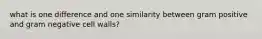 what is one difference and one similarity between gram positive and gram negative cell walls?