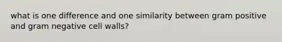 what is one difference and one similarity between gram positive and gram negative cell walls?