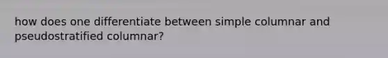 how does one differentiate between simple columnar and pseudostratified columnar?