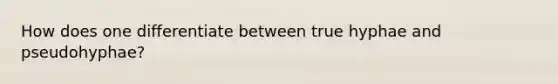 How does one differentiate between true hyphae and pseudohyphae?