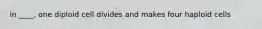 in ____, one diploid cell divides and makes four haploid cells