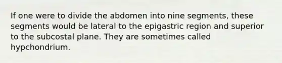 If one were to divide the abdomen into nine segments, these segments would be lateral to the epigastric region and superior to the subcostal plane. They are sometimes called hypchondrium.