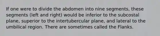 If one were to divide the abdomen into nine segments, these segments (left and right) would be inferior to the subcostal plane, superior to the intertubercular plane, and lateral to the umbilical region. There are sometimes called the Flanks.