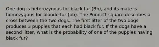 One dog is heterozygous for black fur (Bb), and its mate is homozygous for blonde fur (bb). The Punnett square describes a cross between the two dogs. The first litter of the two dogs produces 3 puppies that each had black fur. If the dogs have a second litter, what is the probability of one of the puppies having black fur?