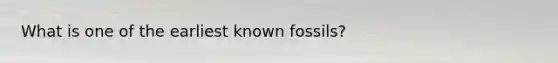 What is one of the earliest known fossils?