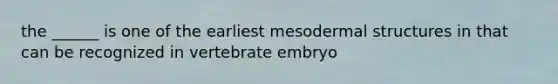 the ______ is one of the earliest mesodermal structures in that can be recognized in vertebrate embryo