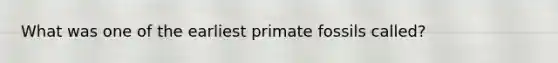 What was one of the earliest primate fossils called?