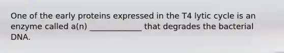 One of the early proteins expressed in the T4 lytic cycle is an enzyme called a(n) _____________ that degrades the bacterial DNA.