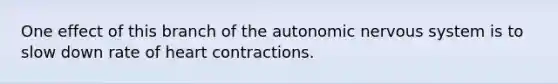 One effect of this branch of <a href='https://www.questionai.com/knowledge/kMqcwgxBsH-the-autonomic-nervous-system' class='anchor-knowledge'>the autonomic <a href='https://www.questionai.com/knowledge/kThdVqrsqy-nervous-system' class='anchor-knowledge'>nervous system</a></a> is to slow down rate of heart contractions.