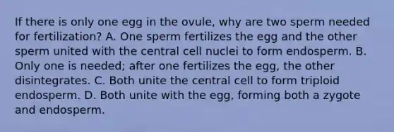 If there is only one egg in the ovule, why are two sperm needed for fertilization? A. One sperm fertilizes the egg and the other sperm united with the central cell nuclei to form endosperm. B. Only one is needed; after one fertilizes the egg, the other disintegrates. C. Both unite the central cell to form triploid endosperm. D. Both unite with the egg, forming both a zygote and endosperm.