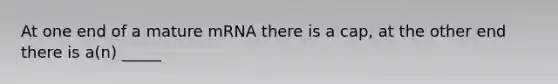 At one end of a mature mRNA there is a cap, at the other end there is a(n) _____