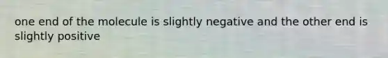 one end of the molecule is slightly negative and the other end is slightly positive