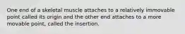 One end of a skeletal muscle attaches to a relatively immovable point called its origin and the other end attaches to a more movable point, called the insertion.