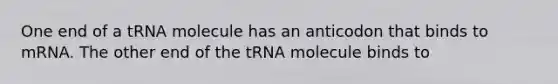 One end of a tRNA molecule has an anticodon that binds to mRNA. The other end of the tRNA molecule binds to