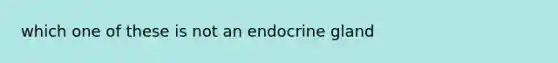 which one of these is not an endocrine gland