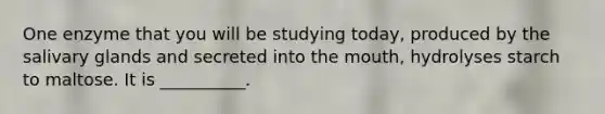 One enzyme that you will be studying today, produced by the salivary glands and secreted into <a href='https://www.questionai.com/knowledge/krBoWYDU6j-the-mouth' class='anchor-knowledge'>the mouth</a>, hydrolyses starch to maltose. It is __________.