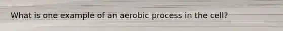 What is one example of an aerobic process in the cell?