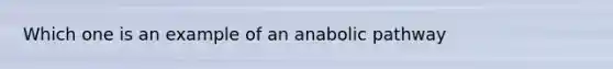 Which one is an example of an anabolic pathway