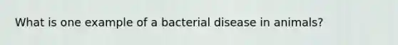 What is one example of a bacterial disease in animals?