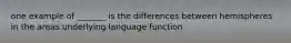 one example of _______ is the differences between hemispheres in the areas underlying language function