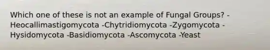 Which one of these is not an example of Fungal Groups? -Heocallimastigomycota -Chytridiomycota -Zygomycota -Hysidomycota -Basidiomycota -Ascomycota -Yeast