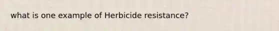 what is one example of Herbicide resistance?