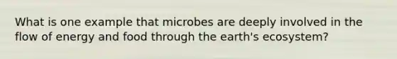 What is one example that microbes are deeply involved in the flow of energy and food through the earth's ecosystem?