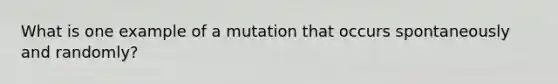 What is one example of a mutation that occurs spontaneously and randomly?