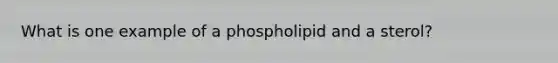 What is one example of a phospholipid and a sterol?