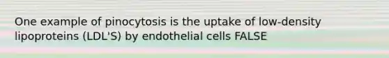 One example of pinocytosis is the uptake of low-density lipoproteins (LDL'S) by endothelial cells FALSE