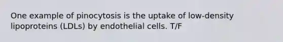 One example of pinocytosis is the uptake of low-density lipoproteins (LDLs) by endothelial cells. T/F