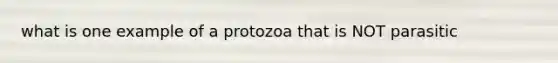 what is one example of a protozoa that is NOT parasitic