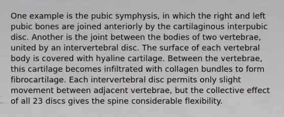 One example is the pubic symphysis, in which the right and left pubic bones are joined anteriorly by the cartilaginous interpubic disc. Another is the joint between the bodies of two vertebrae, united by an intervertebral disc. The surface of each vertebral body is covered with hyaline cartilage. Between the vertebrae, this cartilage becomes infiltrated with collagen bundles to form fibrocartilage. Each intervertebral disc permits only slight movement between adjacent vertebrae, but the collective effect of all 23 discs gives the spine considerable flexibility.