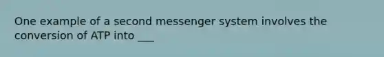 One example of a second messenger system involves the conversion of ATP into ___