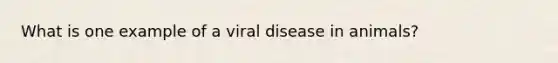 What is one example of a viral disease in animals?