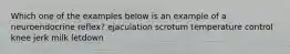 Which one of the examples below is an example of a neuroendocrine reflex? ejaculation scrotum temperature control knee jerk milk letdown