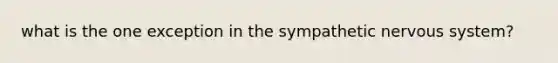 what is the one exception in the sympathetic nervous system?