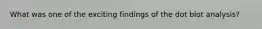 What was one of the exciting findings of the dot blot analysis?