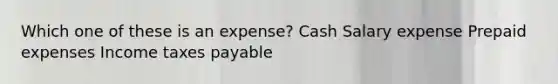 Which one of these is an expense? Cash Salary expense Prepaid expenses Income taxes payable