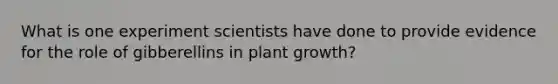 What is one experiment scientists have done to provide evidence for the role of gibberellins in plant growth?