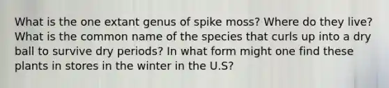 What is the one extant genus of spike moss? Where do they live? What is the common name of the species that curls up into a dry ball to survive dry periods? In what form might one find these plants in stores in the winter in the U.S?