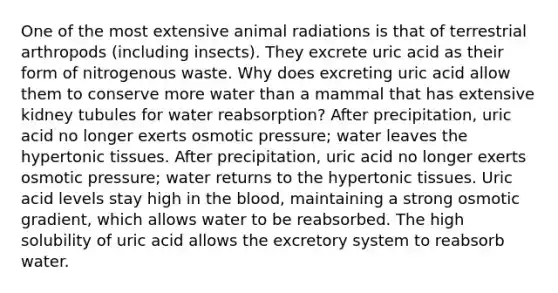 One of the most extensive animal radiations is that of terrestrial arthropods (including insects). They excrete uric acid as their form of nitrogenous waste. Why does excreting uric acid allow them to conserve more water than a mammal that has extensive kidney tubules for water reabsorption? After precipitation, uric acid no longer exerts osmotic pressure; water leaves the hypertonic tissues. After precipitation, uric acid no longer exerts osmotic pressure; water returns to the hypertonic tissues. Uric acid levels stay high in the blood, maintaining a strong osmotic gradient, which allows water to be reabsorbed. The high solubility of uric acid allows the excretory system to reabsorb water.