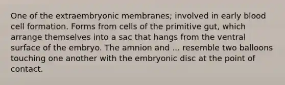 One of the extraembryonic membranes; involved in early blood cell formation. Forms from cells of the primitive gut, which arrange themselves into a sac that hangs from the ventral surface of the embryo. The amnion and ... resemble two balloons touching one another with the embryonic disc at the point of contact.