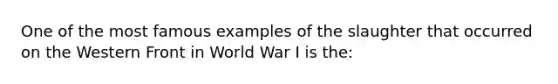 One of the most famous examples of the slaughter that occurred on the Western Front in World War I is the: