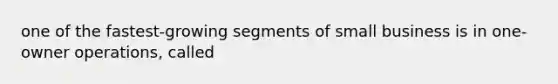 one of the fastest-growing segments of small business is in one-owner operations, called