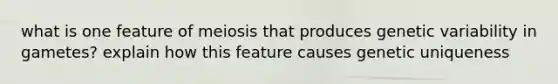 what is one feature of meiosis that produces genetic variability in gametes? explain how this feature causes genetic uniqueness